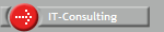 IT-Consulting